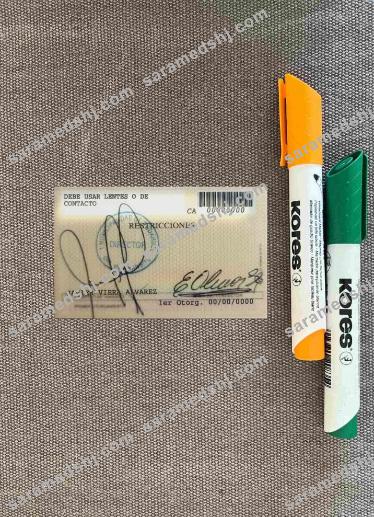 Chile licencia de conductor photolook BACK